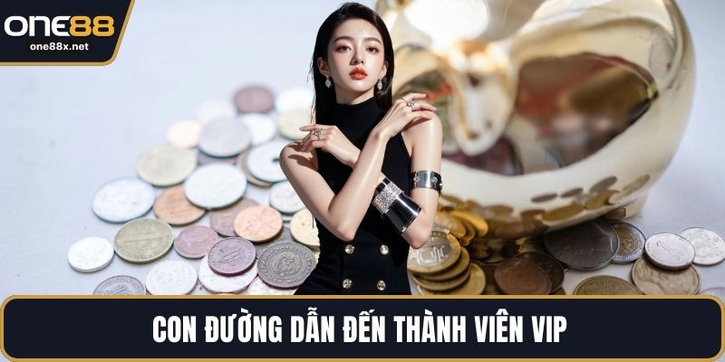Con đường dẫn đến thành viên VIP 