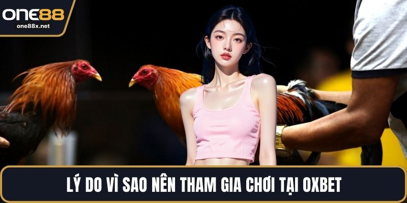 Lý do vì sao nên tham gia chơi tại OXBET